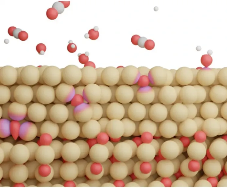 Advanced simulation of complex catalytic interfaces for CO2 reduction
