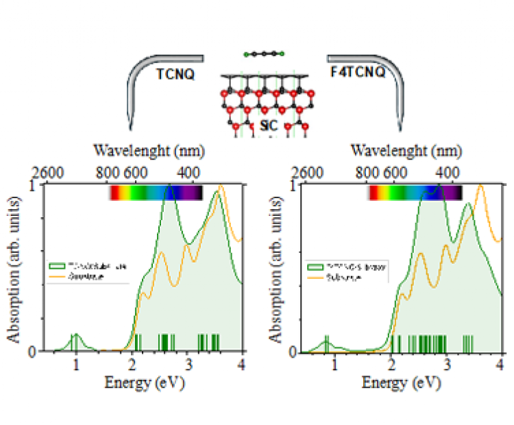 Optical properties of acceptor-molecule-donor complexes adsorbed on Graphene/SiC(0001)