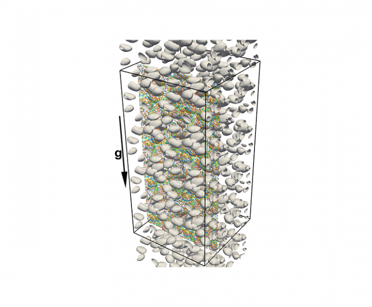 DNS of mass transfer in gravity-driven turbulent bubble swarms: Effect of Eötvös number