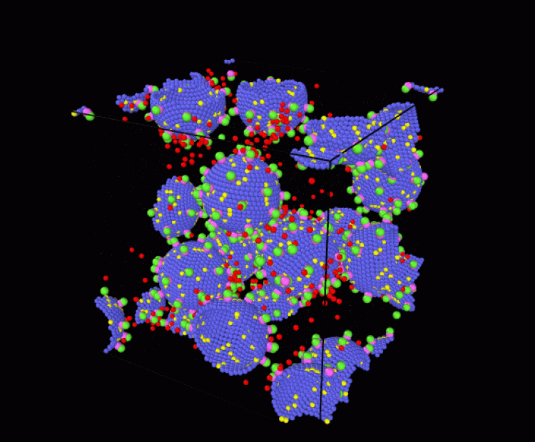Dynamics of biophysical systems at the mesoscale
