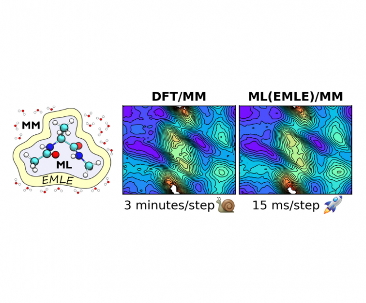 Efficient embedding of Machine Learning potentials for biomolecular simulations