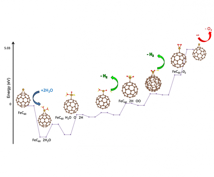 investigation-of-fullerene-supported-single-atom-catalysts-and-single-cluster-catalysts-for-the-water-splitting-reaction-to-produce-green-hydrogen