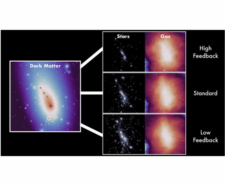 hydrodynamical-resimulations-for-cosmological-inferences