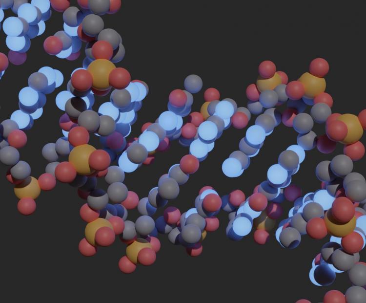 photochemical-and-photophysical-profile-of-the-artificial-hachimoji-nucleobase-z