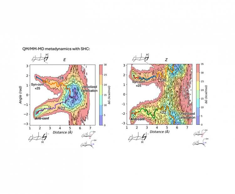 exploring-the-enantioconvergent-polycyclization-of-linear-terpenoids-catalyzed-by-squalene-hopene-cyclase