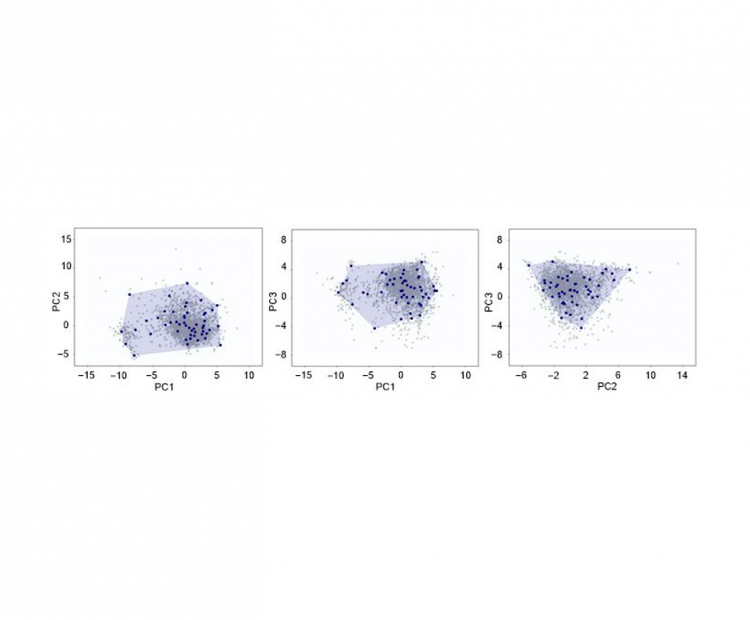 compiling-a-database-of-nonlinear-optical-properties-using-high-level-computational-chemistry-methods