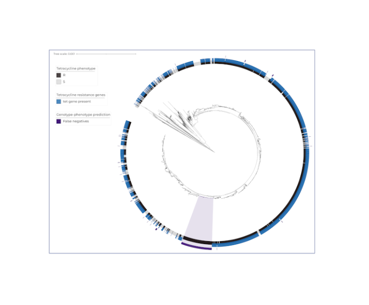 large-scale-genomic-analyses-applied-to-study-the-genetic-mechanisms-of-antibiotic-resistance-in-enterococci