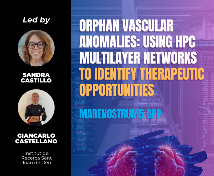 orphan-vascular-anomalies-using-hpc-multilayer-networks-to-identify-therapeutic-opportunities