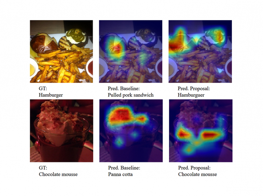boosting-the-limits-of-data-centric-deep-learning-for-visual-food-computing