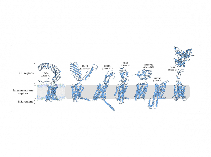 alphagpcr-large-scale-simulation-and-analysis-of-ai-derived-gpcr-structures