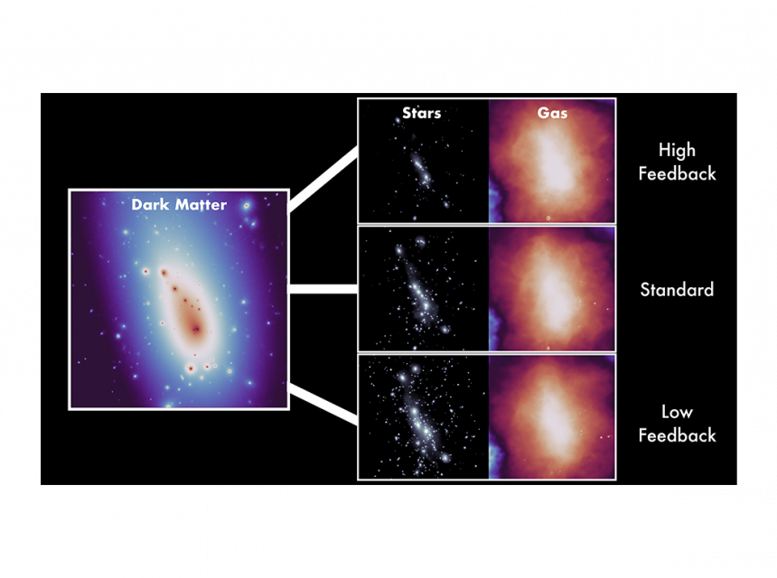 hydrodynamical-resimulations-for-cosmological-inferences