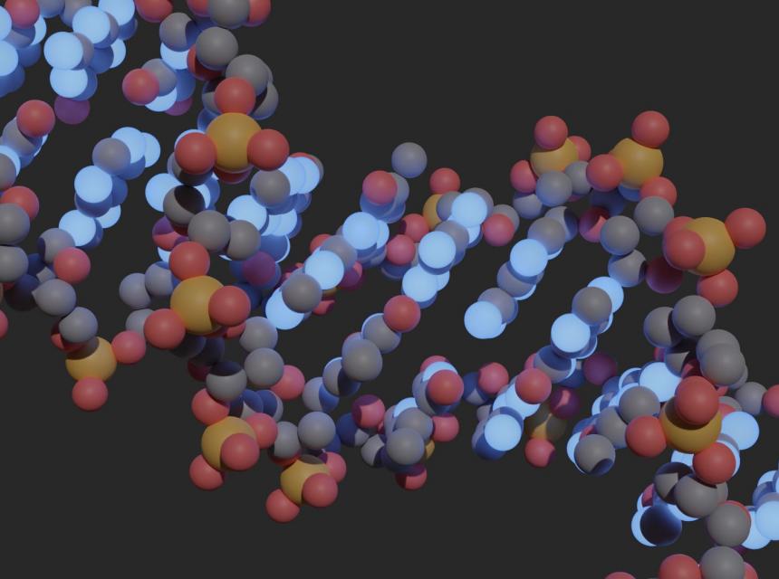 photochemical-and-photophysical-profile-of-the-artificial-hachimoji-nucleobase-z