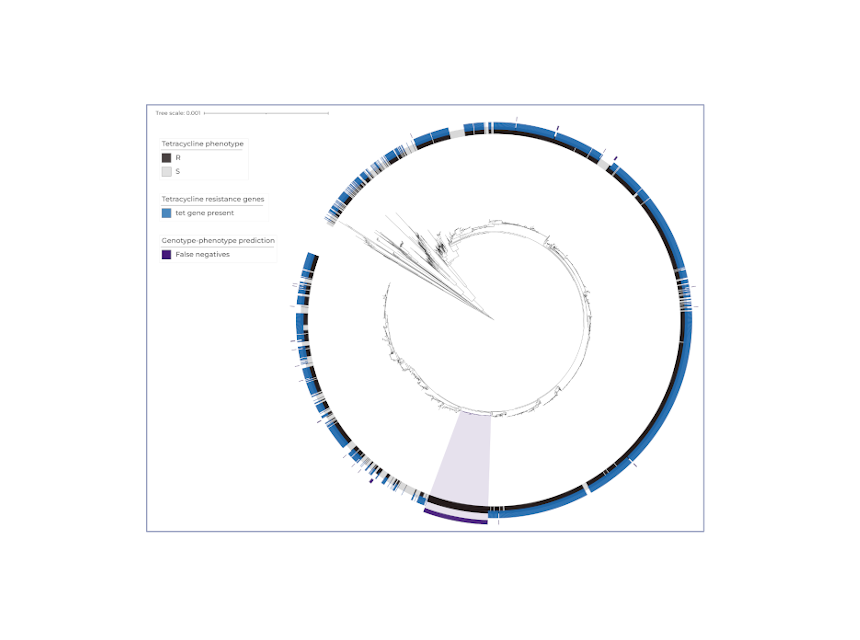 large-scale-genomic-analyses-applied-to-study-the-genetic-mechanisms-of-antibiotic-resistance-in-enterococci