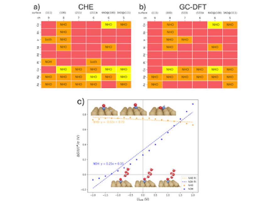 beyond-the-thermodynamic-picture:-exploring-the-selectivity-of-electrocatalytic-no-hydrogenation-by-means-of-the-gc-dft-approach